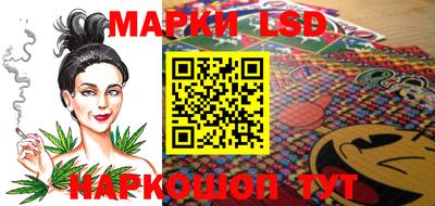 шишки Можга