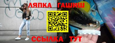 шишки Можга